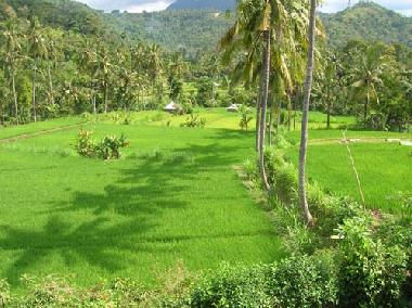 Maison de vacances �/en/au Manuksesa (Bali)ou appartement ou maison de vacances