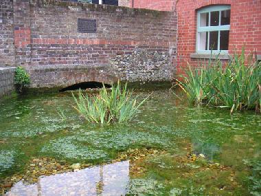 Appartement de vacances �/en/au Havant (Hampshire and Isle of Wight)ou appartement ou maison de vacances