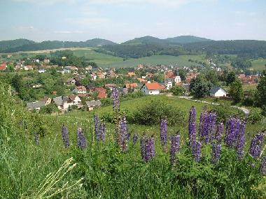 Appartement de vacances /en/au Trusetal (Thringer Wald)ou appartement ou maison de vacances