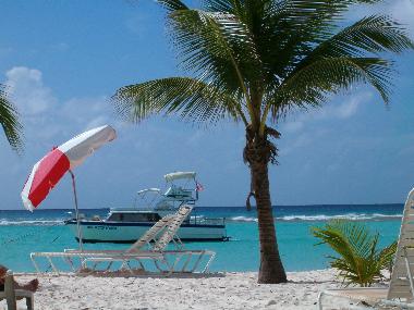 Appartement de vacances �/en/au Christ Church (Christ Church)ou appartement ou maison de vacances