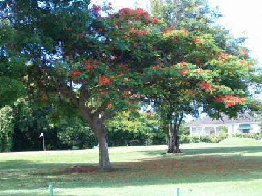 Appartement de vacances �/en/au Christ Church (Christ Church)ou appartement ou maison de vacances