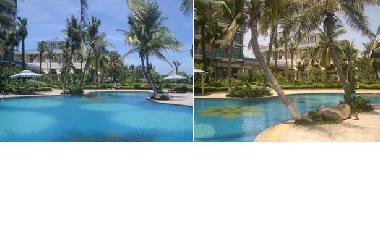 Jardin; la piscine