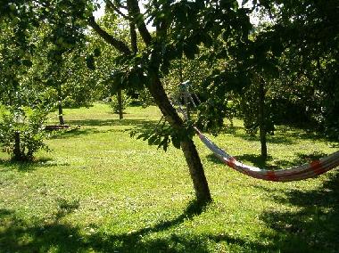 Maison de vacances /en/au beyssac (Corrze)ou appartement ou maison de vacances