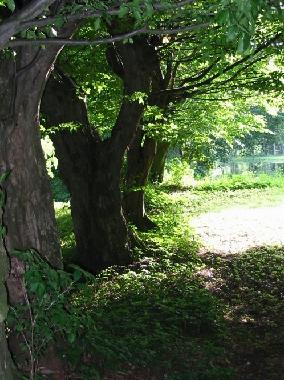 Appartement de vacances �/en/au Satow (Mecklenburgische Ostseek�ste)ou appartement ou maison de vacances