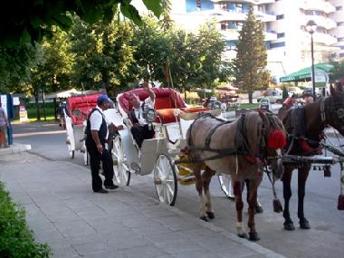 Appartement de vacances �/en/au Sunny Beach (Burgas)ou appartement ou maison de vacances