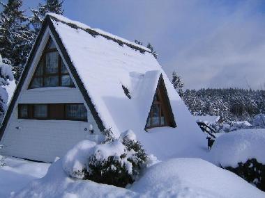 Maison de vacances �/en/au Tennenbronn (Schwarzwald)ou appartement ou maison de vacances