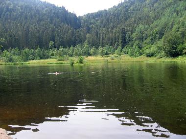 Appartement de vacances /en/au Baiersbronn Obertal-Buhlbach (Schwarzwald)ou appartement ou maison de vacances