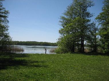 Maison de vacances /en/au Werder / Havel (Potsdam-Mittelmark)ou appartement ou maison de vacances