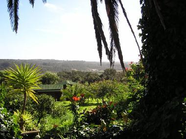 Maison de vacances �/en/au Aljezur (Algarve)ou appartement ou maison de vacances