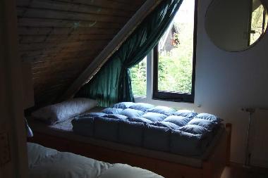 Maison de vacances /en/au Sint Maartensvlotbrug (Noord-Holland)ou appartement ou maison de vacances