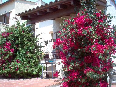 Maison de vacances /en/au L