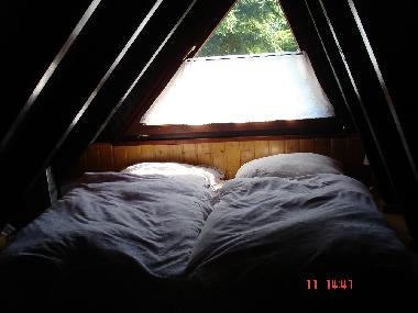 Maison de vacances /en/au Blankenheim (Eifel - Ahr)ou appartement ou maison de vacances