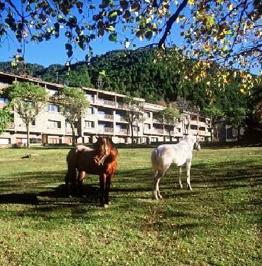 Appartement de vacances /en/au La Massana (La Massana)ou appartement ou maison de vacances