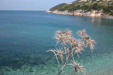 Maison de vacances /en/au Volimes (Zakynthos)ou appartement ou maison de vacances
