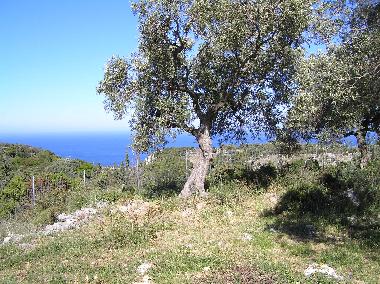 Maison de vacances /en/au Volimes (Zakynthos)ou appartement ou maison de vacances