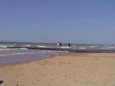 Chalet /en/au Bredene (Flandre)ou appartement ou maison de vacances