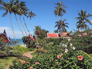 Maison de vacances /en/au Bang por/ Maenam/ Koh Samui (Surat Thani)ou appartement ou maison de vacances