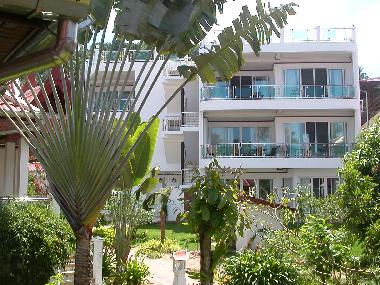 Maison de vacances /en/au Bang por/ Maenam/ Koh Samui (Surat Thani)ou appartement ou maison de vacances