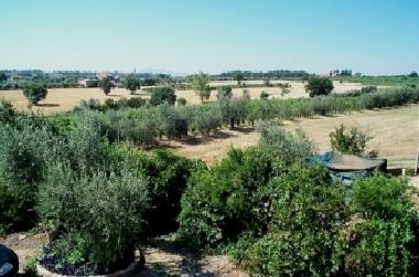 Appartement de vacances �/en/au pozzuolo (Perugia)ou appartement ou maison de vacances