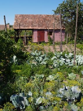 Maison de vacances �/en/au Cund / Reussdorf (Mures)ou appartement ou maison de vacances