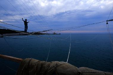 Appartement de vacances /en/au Vieste (Foggia)ou appartement ou maison de vacances