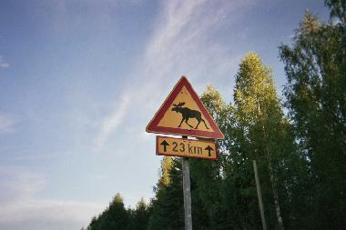 Maison de vacances �/en/au Auttoinen (Padasjoki) (Etela-Suomen Laani)ou appartement ou maison de vacances