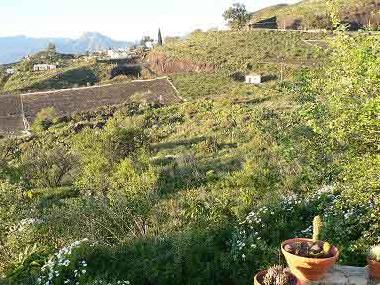 Maison de vacances /en/au Las Manchas (La Palma und El Hierro)ou appartement ou maison de vacances
