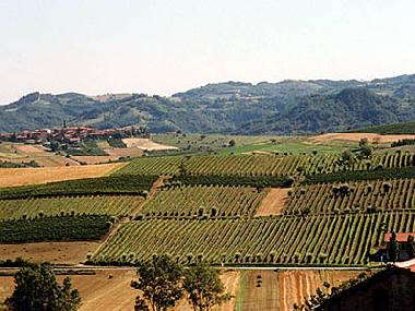 Maison de vacances �/en/au Carezzano (Alessandria)ou appartement ou maison de vacances