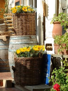 Maison de vacances �/en/au Zichron Ya