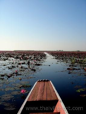 Villa �/en/au Udon Thani (Udon Thani)ou appartement ou maison de vacances