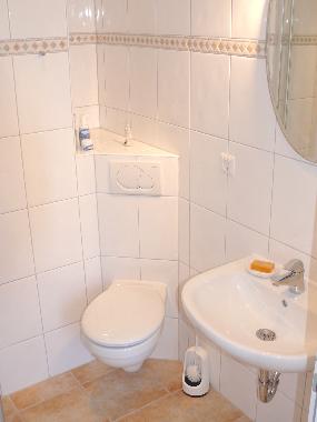 Une salle de bain moderne avec douche / WC