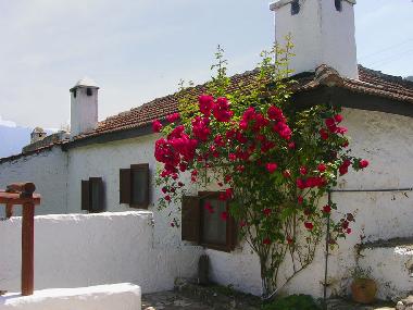 Maison de vacances �/en/au Kayakoy (Mugla)ou appartement ou maison de vacances