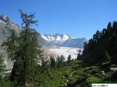 Chalet �/en/au Blatten-Belalp (Aletsch)ou appartement ou maison de vacances
