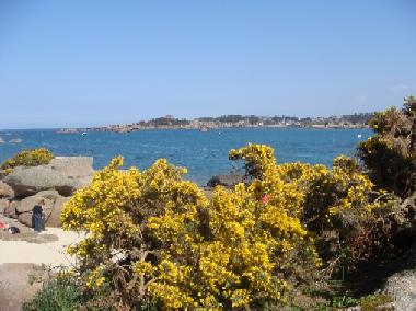 Littoral pr�serv� et nombreuses criques