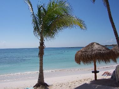 Appartement de vacances �/en/au Puerto Aventuras (Quintana Roo)ou appartement ou maison de vacances