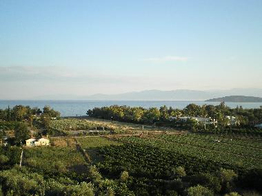 Appartement de vacances /en/au Nafplio (Argolida)ou appartement ou maison de vacances