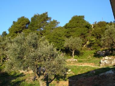 Appartement de vacances /en/au Alikias (Magnisia)ou appartement ou maison de vacances