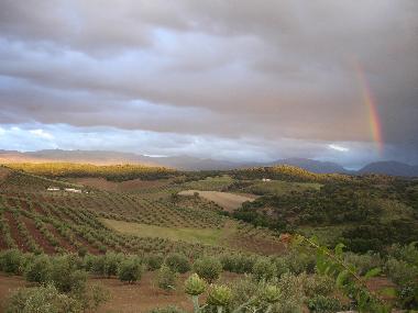 paysage vue de chez nous