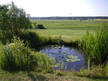 Appartement de vacances /en/au Dobbin (Mecklenburgische Seenplatte)ou appartement ou maison de vacances