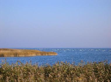 Appartement de vacances /en/au Born am Darss (Fischland-Dar-Zingst)ou appartement ou maison de vacances