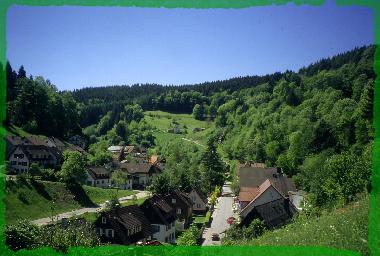 Appartement de vacances /en/au Schnmnzach (Schwarzwald)ou appartement ou maison de vacances