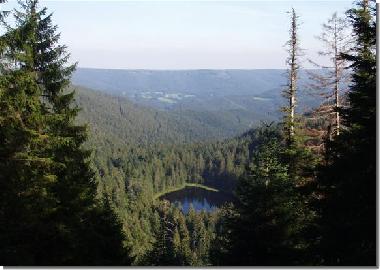 Appartement de vacances /en/au Schnmnzach (Schwarzwald)ou appartement ou maison de vacances