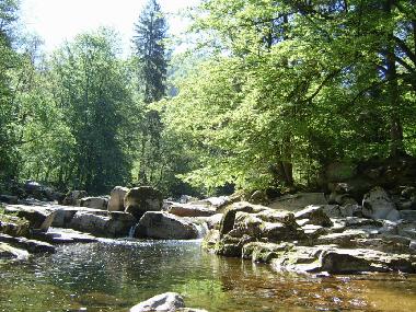 Appartement de vacances /en/au Schnmnzach (Schwarzwald)ou appartement ou maison de vacances