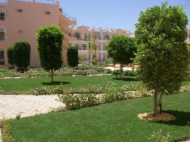 Appartement de vacances �/en/au sharm el sheikh (Shamal Sina