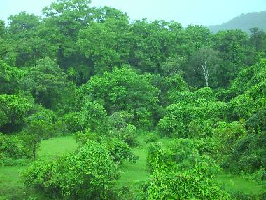 Appartement de vacances �/en/au Siolim (Goa)ou appartement ou maison de vacances