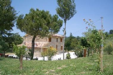 Maison de vacances �/en/au Montecarotto (Ancona)ou appartement ou maison de vacances