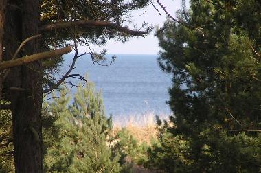 Maison de vacances �/en/au Karlshagen (Ostsee-Inseln)ou appartement ou maison de vacances