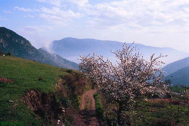 Maison de vacances �/en/au Pitres (Granada)ou appartement ou maison de vacances