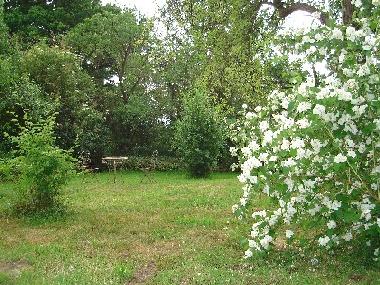 Appartement de vacances /en/au Wlpinghausen (Weserbergland)ou appartement ou maison de vacances