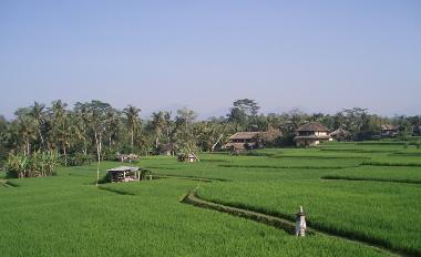 Maison de vacances �/en/au Ubud (Bali)ou appartement ou maison de vacances